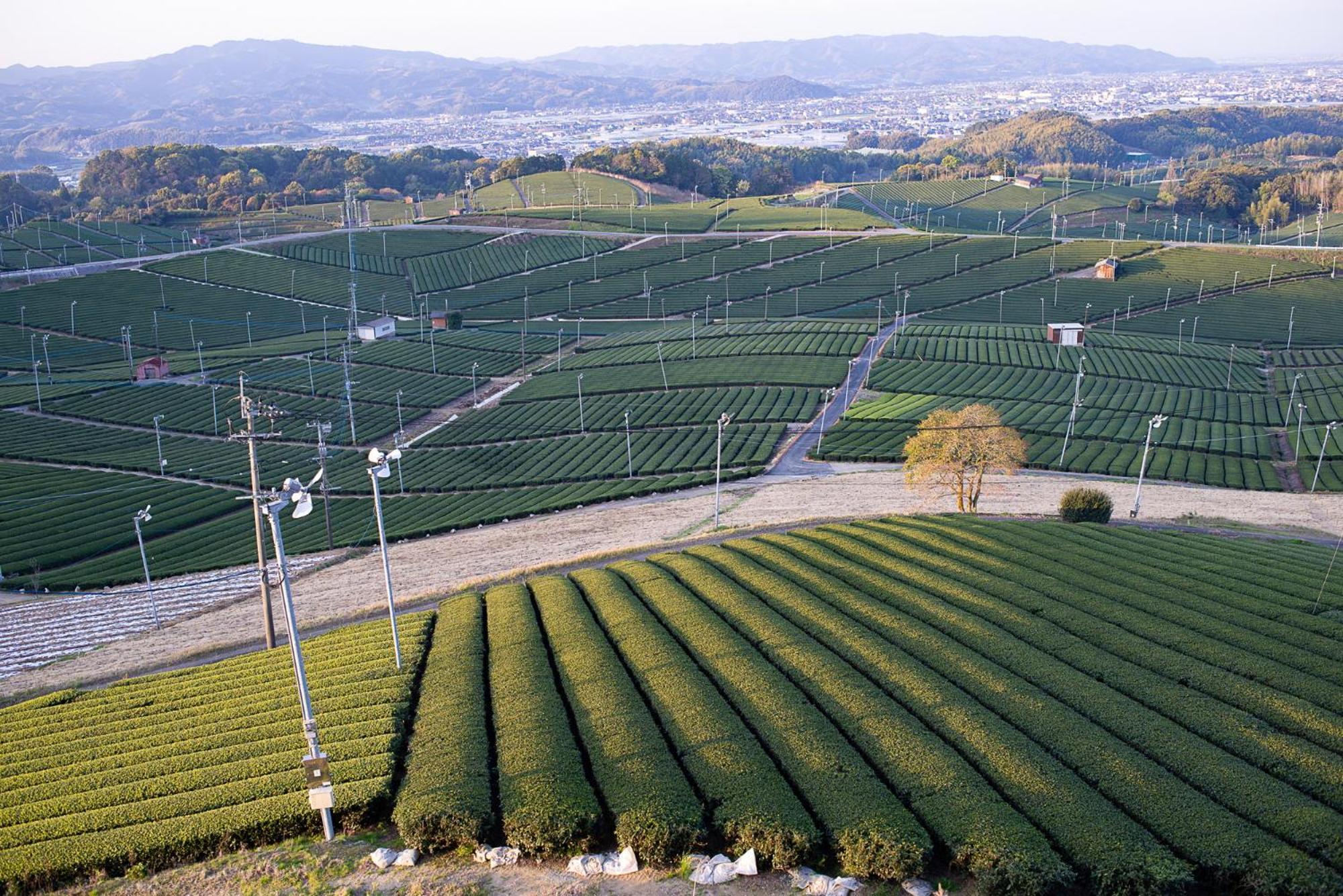 Nipponia Hotel Yamefukushima Merchant Town Tagawa Exterior photo